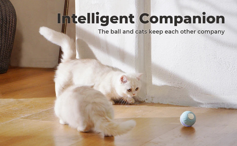 Smart Interactive Cat Ball – USB Rechargeable