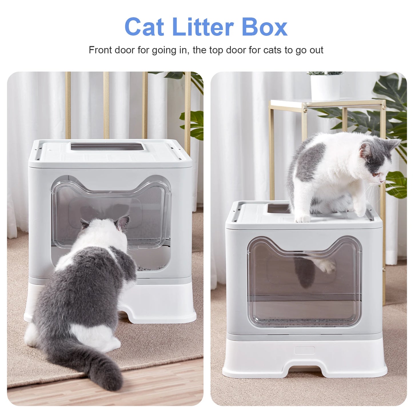 Large Enclosed Cat Litter Box with Lid – Splashproof & Easy to Clean